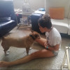 Raquel Irurzun Jimenez, Pet sitter in Cendea de Olza