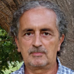 Fernando Mora, Spellchecker in Spanish in Valencia
