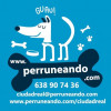 Susana Moraga, Dog trainer in Manzanares