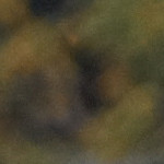 Martina Marchionni, Waitress in Barcelona