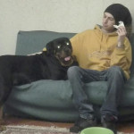Alfredo Cavalletti, Pet sitter in Madrid