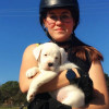 Andrea Mas, Dog trainer in Girona