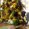 Ignacio Sanchez, Gardener in Madrid
