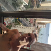 Miguel Angel Fernandez Martinez, Glazier in Benidorm