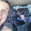 Paula Gac, Pet transporter in Madrid