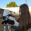 Bárbara Tomero Vega, Pet sitter in Talavera de la Reina