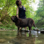 Debora Gallego, Adiestradora de perros en Donostia-San Sebastián
