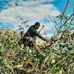 Israel Moreno, Gardener in Cabezón de la Sal