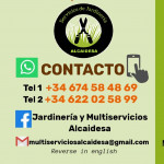 Christian Gutierrez Perez, Jardiner a San Roque