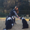 Glòria Burgos, Dog trainer in Manresa