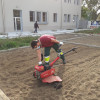 Luis Jiménez, Gardener in Barcelona