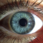 Laura Fernandez, Photographer in Getafe