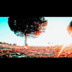 Omar Derki, Private chauffeur in Barcelona