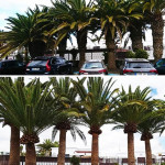 Miguel Ortega, Jardiner a Arrecife