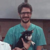 Manuel Grau Llongo, Veterinary in Valencia