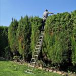 Ricardo García, Gardener in Benalmádena