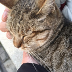 Andrea Pina , Cuidadora de mascotes a Zaragoza