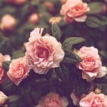 Maria Dolores De Los Reyes, Cuidadora de gent gran a Mataró