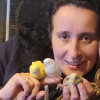 Purificacion Gonzalez Ferreira, Pet sitter in O Porriño
