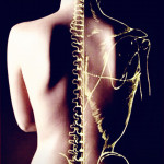 Loles Cc, Physiotherapist in El Ejido