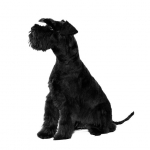 Sonii Arona, Canine hairdresser in Elche