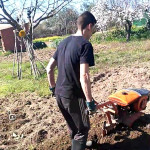 Jose Gabriel Blázquez González, Jardiner a Talavera de la Reina