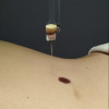 Sergio Mutilva, Acupuncturist in Barcelona
