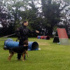Judit Lauda, Dog walker in Mieres