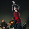 Isabel Torres, Professora de flamenc a Fuenlabrada