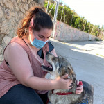 Rose Ortega, Pet sitter in Gandia