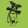 Dogeduca Dogeduca, Dog trainer in Alcorcón
