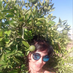 Yvonne Ryan, Redactora de continguts en anglès a Barcelona