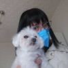 Cristina Casillista Somosporto, Pet sitter in Barcelona