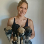 Veronika Zavernina, Pet sitter in Benidorm