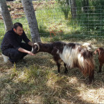 Ziad Saber, Pet sitter in Barcelona