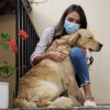 Myriam Rodriguez, Pet sitter in Valencia