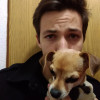 Rodrigo Llaca, Pet sitter in Gijón