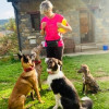 Tizas Adiestramiento, Dog trainer in Zaragoza