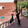 Sarah Stanga, Dog trainer in Granada