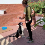 Sarah Stanga, Dog trainer in Granada