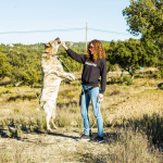 Raquel G menéndez, Pet sitter in Torrelodones
