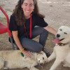 Verónica Remiro, Pet sitter in Zaragoza