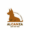 Alcanza Escuela Canina, Dog trainer in Jaén