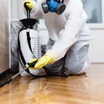 Jesús Cobos, Pest Controller in Málaga