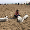 Ana Romina, Pet sitter in Barcelona