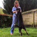 Desire Huerga Ruiz, Perruquera canina a Bilbao