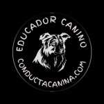 Pablo Vela, Dog trainer in Madrid