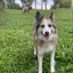 Juankar Jimenez Ramirez, Cuidador de mascotes a Vitoria-Gasteiz