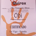 Alejandro Comesaña, Osteopath in Vigo