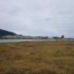 Selva Blanco, Reiki master in Madrid
